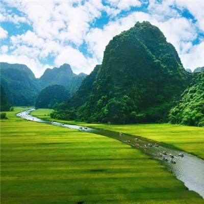 精灵大作战ol官方游戏
